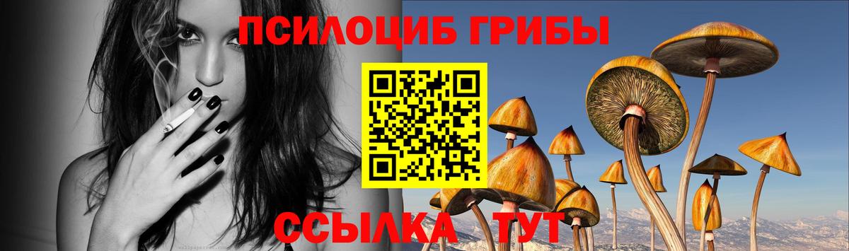 Псилоцибиновые грибы прущие грибы  Вход с VPN  Рубцовск 